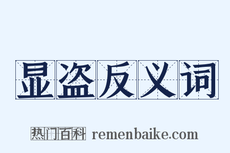 显盗反义词是什么意思的图片